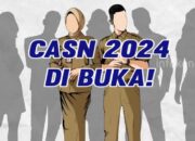 Buruan! Syarat Wajib & Cara Daftar CASN 2024